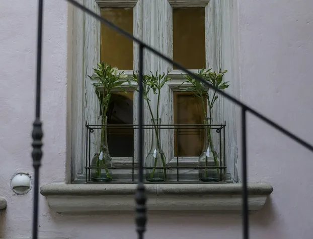 L'Ôtel Chiquitos San Miguel de Allende hotel detail image 2