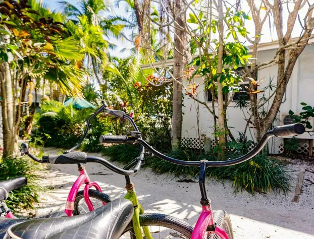 Blue Dolphin Cottages hotel detail image 2