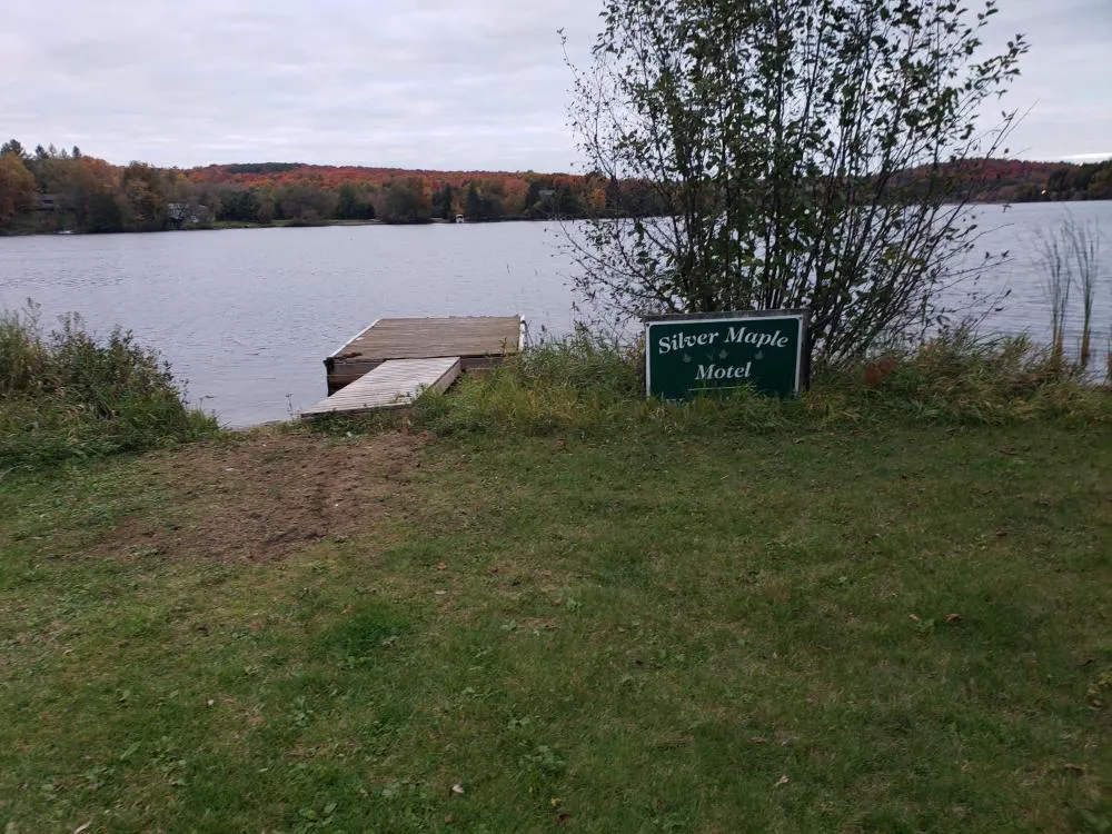 Silver Maple Motel hotel hero