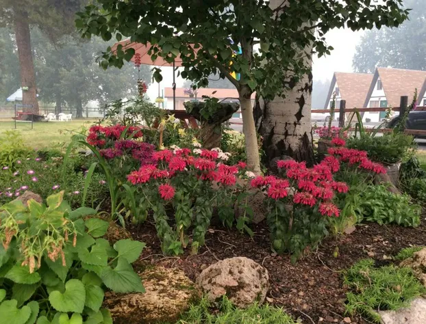 Aspen Inn hotel detail image 3