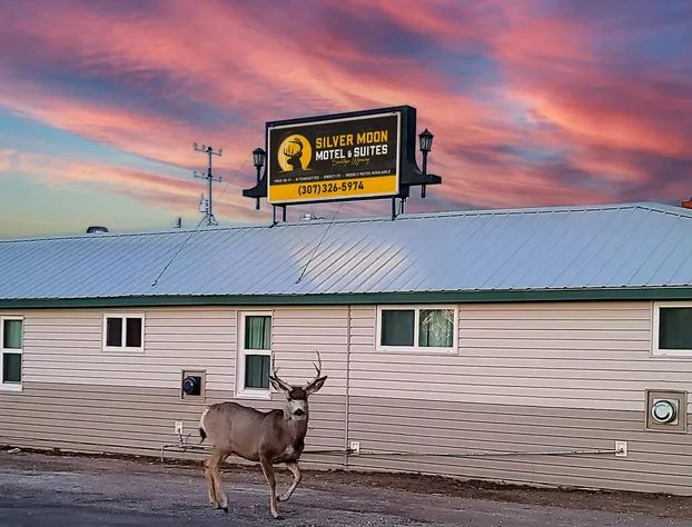 Silver Moon Motel and Suites hotel detail image 1