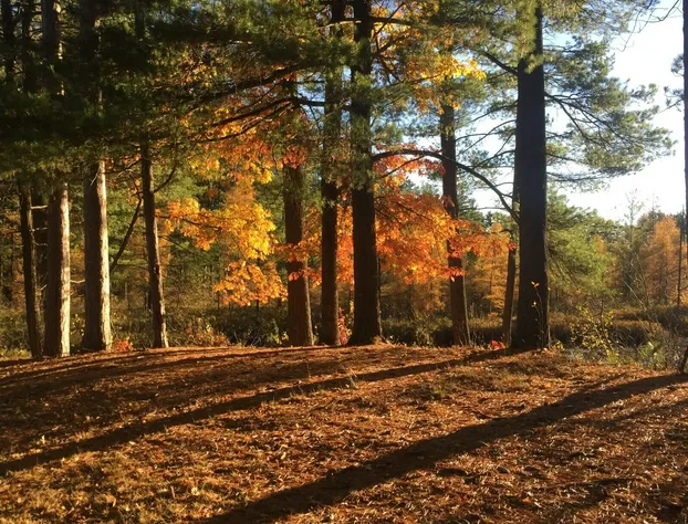Bridge Inn Toamhawk hotel detail image 2