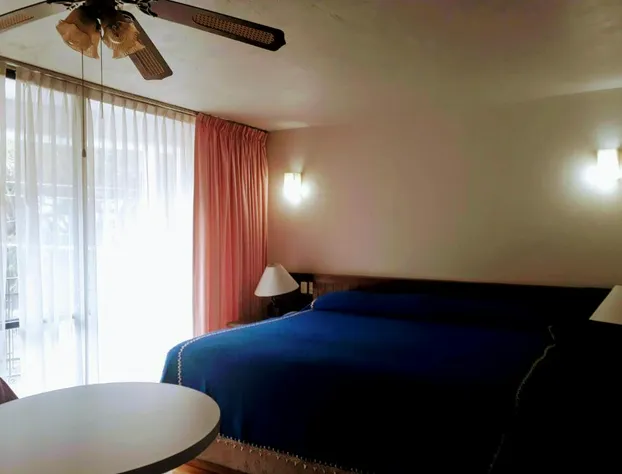 Hotel Del Parque hotel detail image 3