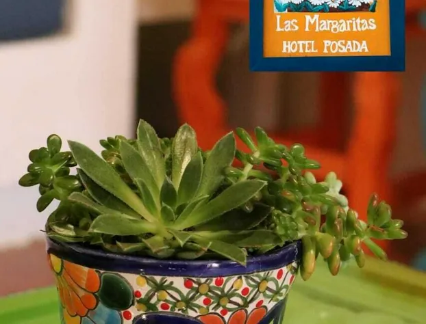 Las Margaritas Hotel Posada hotel detail image 3