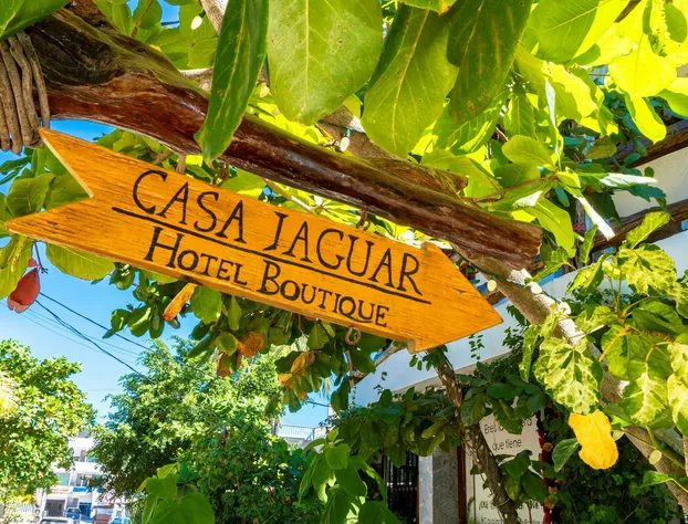 Casa Jaguar hotel detail image 2