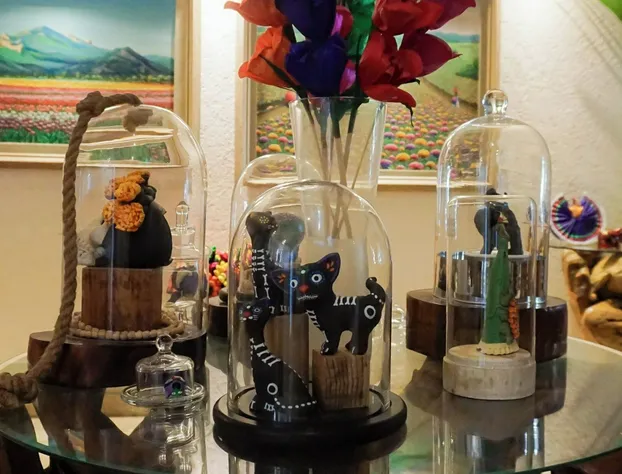 Casa Jaguar hotel detail image 1