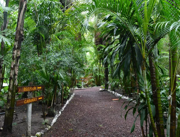 Río Aventura Expediciones hotel detail image 2