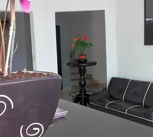 Hotel Zepeda hotel detail image 2