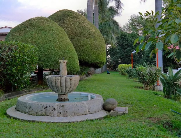 Hotel Los Cedros hotel detail image 4