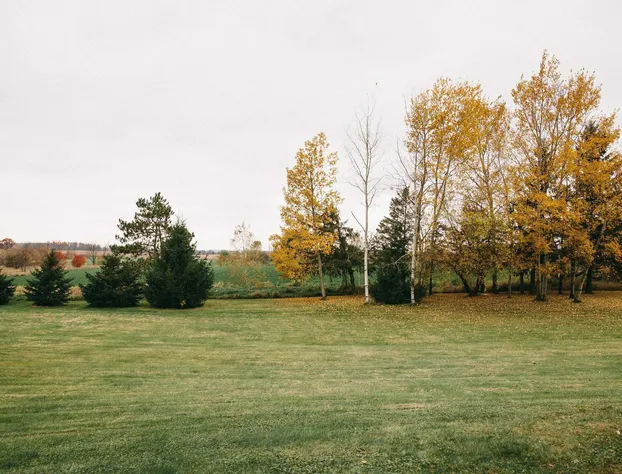 Fannies Supper Club and Motel hotel detail image 3