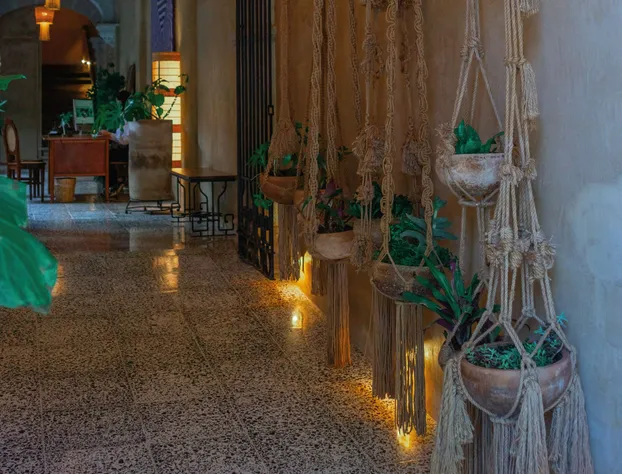 Casa Antonieta hotel detail image 2