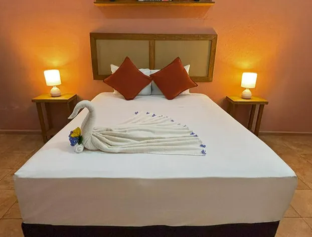 Hotel International House hotel detail image 3