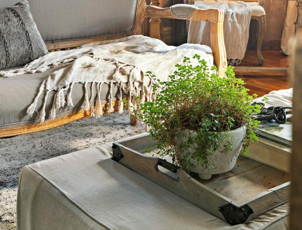 The Watson Boutique Bed & Breakfast hotel detail image 1
