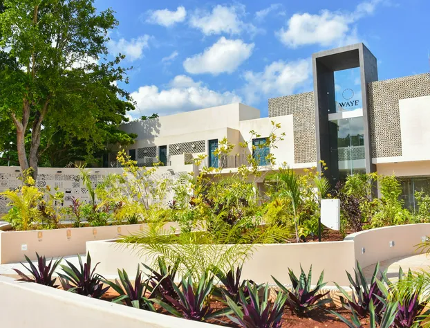 Waye Valladolid Centro – Sustainable, Authentic Experiences & Pet Friendly Boutique Hotel hotel detail image 1