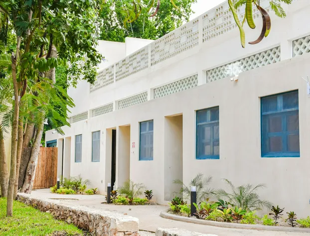 Waye Valladolid Centro – Sustainable, Authentic Experiences & Pet Friendly Boutique Hotel hotel detail image 4