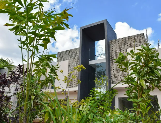 Waye Valladolid Centro – Sustainable, Authentic Experiences & Pet Friendly Boutique Hotel hotel detail image 1