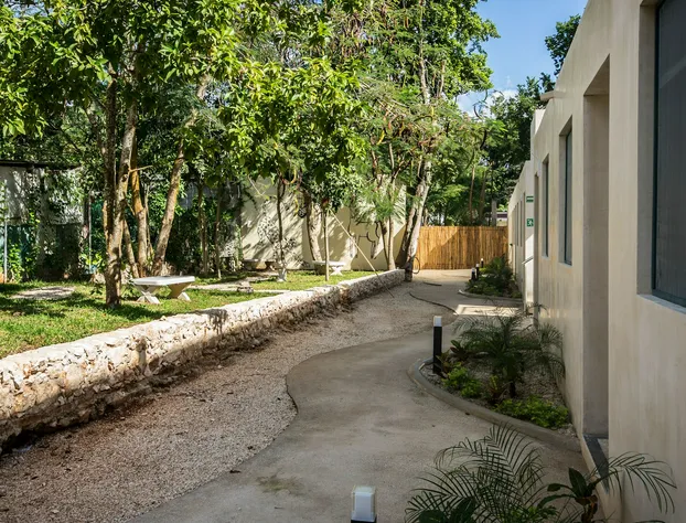 Waye Valladolid Centro – Sustainable, Authentic Experiences & Pet Friendly Boutique Hotel hotel detail image 3