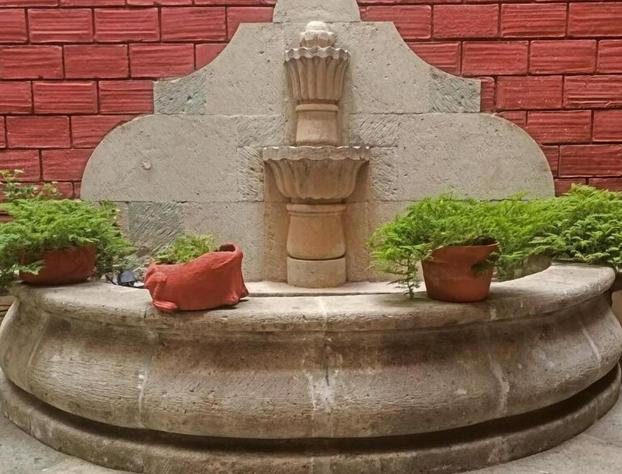 Hotel Santa Rosa hotel detail image 2