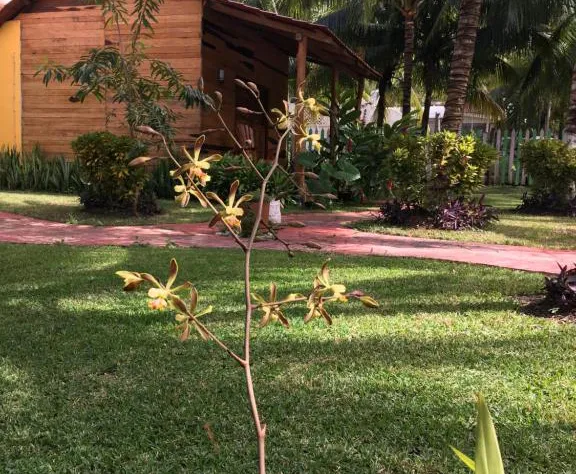 Cabañas La Fortuna Bacalar hotel detail image 2