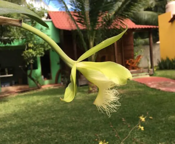 Cabañas La Fortuna Bacalar hotel detail image 3