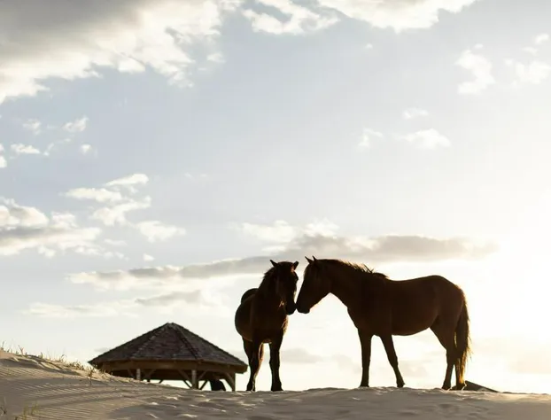 Bear Inn hotel detail image 3