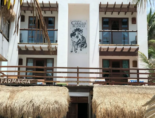 Hotel El Caballo Blanco hotel detail image 2