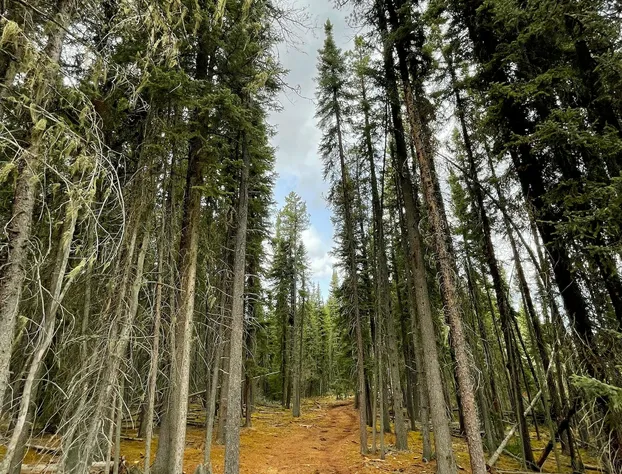 Schott’s Lake Conference & Resort hotel detail image 4