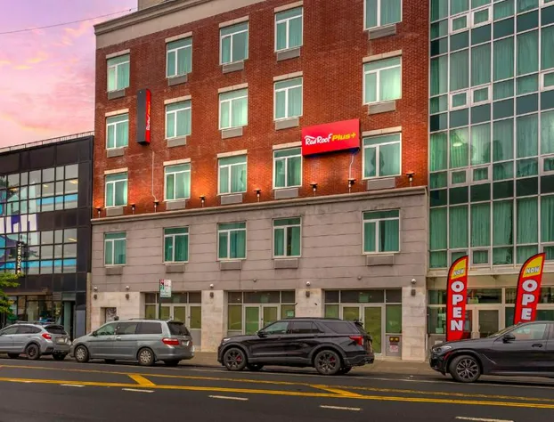 Red Roof PLUS+ Brooklyn - Flatbush Ave hotel detail image 3