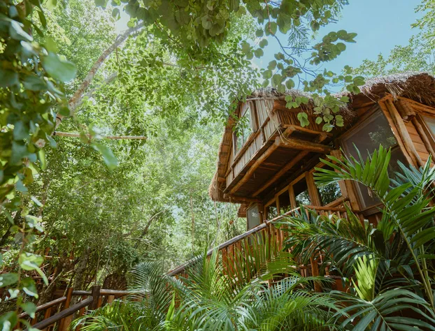 ANAND Ecoaldea hotel detail image 1