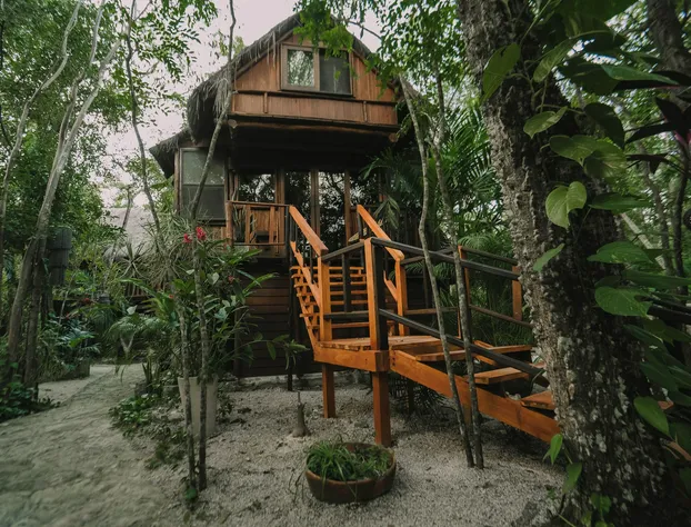 ANAND Ecoaldea hotel detail image 2