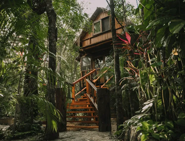 ANAND Ecoaldea hotel detail image 4