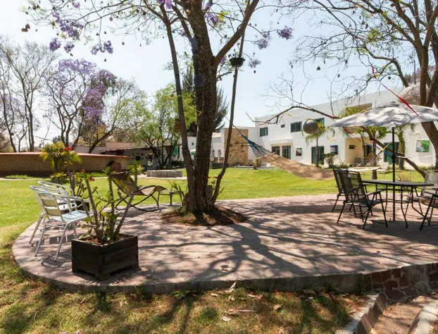 Capital O Hotel Vitalé Leon MX hotel detail image 4