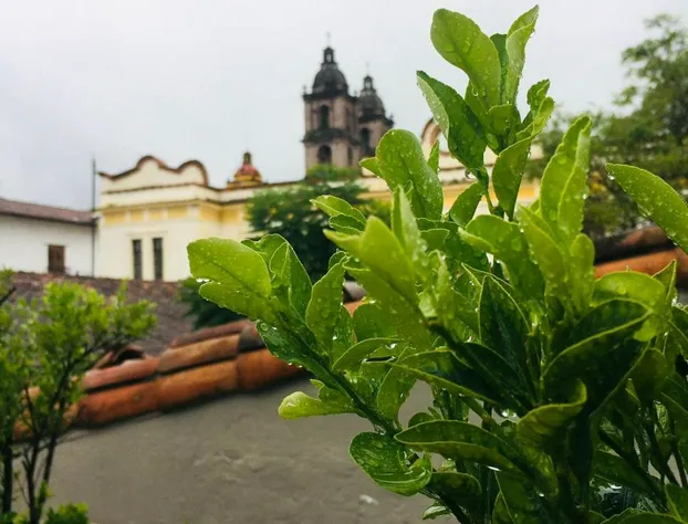 Arawi Hotel Boutique hotel detail image 3