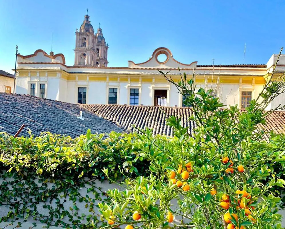 Arawi Hotel Boutique hotel hero