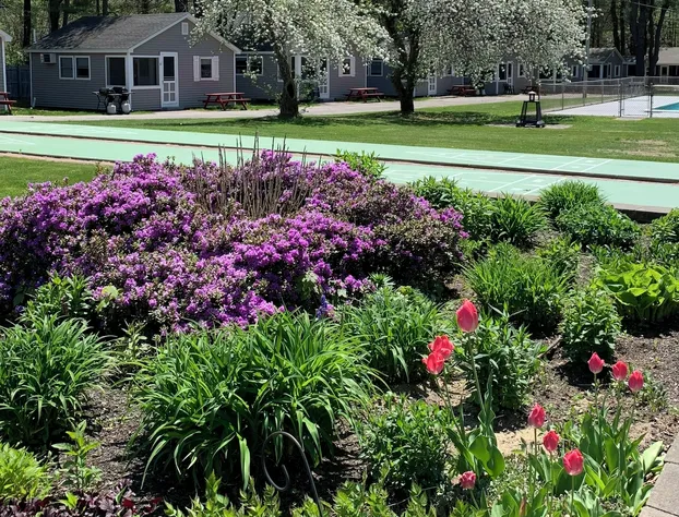 Elmwood Motor Court hotel detail image 1