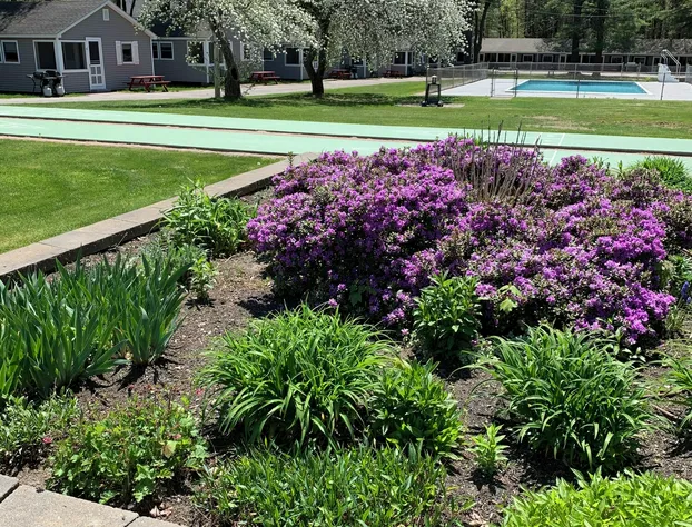 Elmwood Motor Court hotel detail image 2