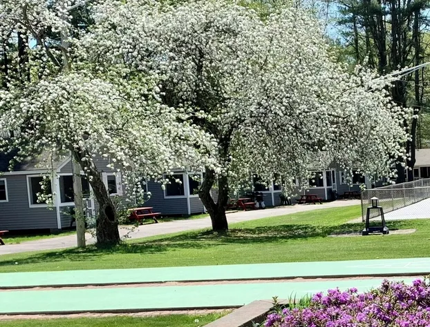 Elmwood Motor Court hotel detail image 3