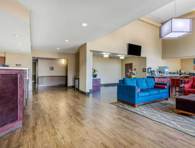 Comfort Inn & Suites Mccomb hotel detail image 2