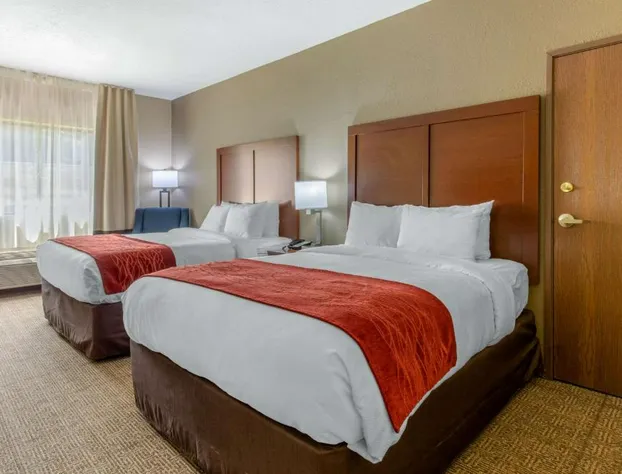 Comfort Inn & Suites Mccomb hotel detail image 4