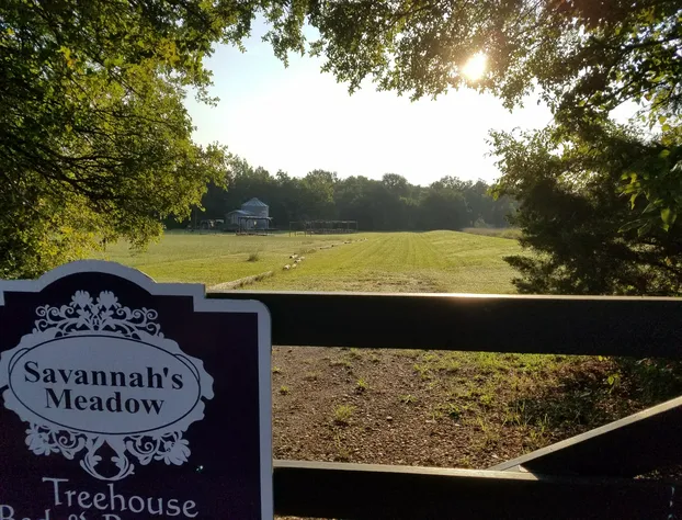 Savannah's Meadow hotel detail image 4