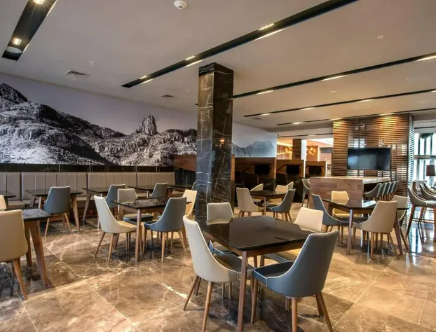 Courtyard by Marriott San Luis Potosi, Los Lagos hotel detail image 3