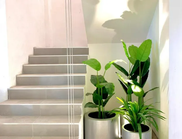 Hotel Blanco Pachuca hotel detail image 3