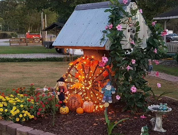 Country Aire Bed & Breakfast hotel detail image 3