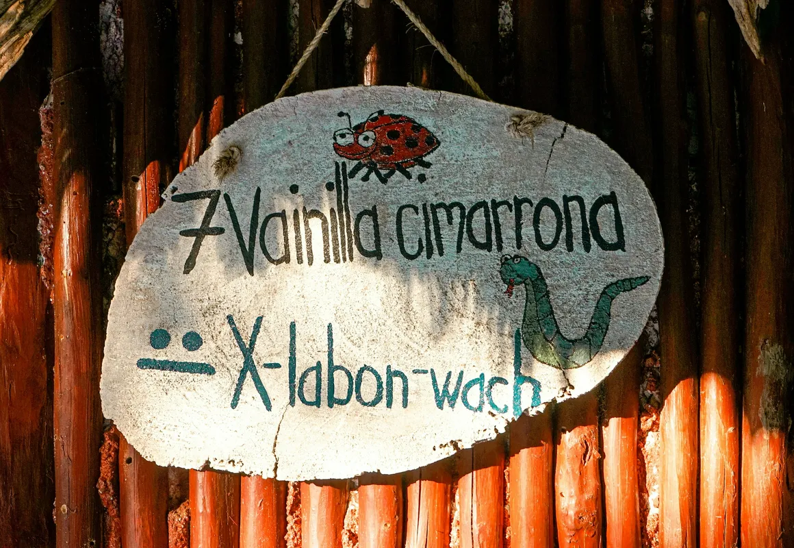 Eco-Hotel Selvabonita-KiichpamKaax hotel hero