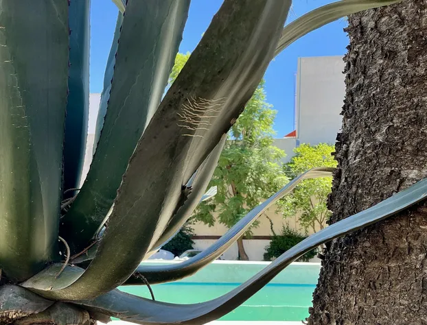 Villa Santa Julia hotel detail image 3