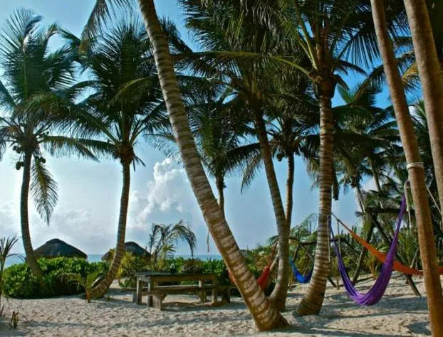 Playa Selva hotel detail image 1