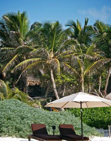 Playa Selva hotel detail image 4