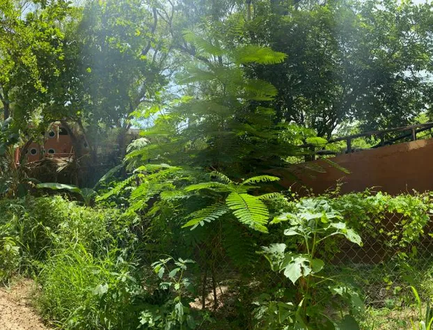 El Barco hotel detail image 3