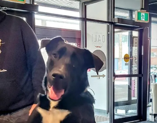 The Arts Hotel hotel detail image 4