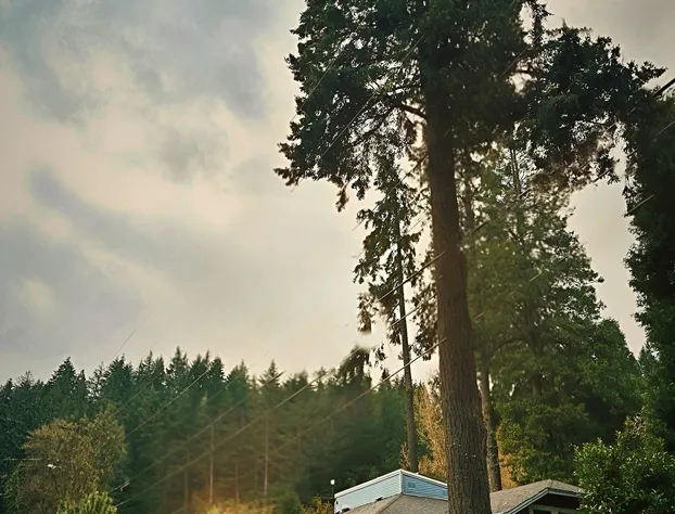 Westfir Lodge & Mountain Market hotel detail image 1